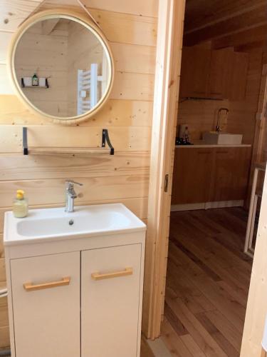 une salle de bain avec un lavabo et un miroir dans l'établissement Le rouge gorge, à Bosjean