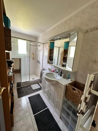 une salle de bain avec une baignoire, un lavabo et une douche dans l'établissement Plain pied aux portes de La Rochelle 2chbres, à Saint-Xandre