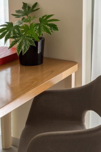 a plant sitting on a wooden table next to a chair at Hotel Aria in Rimini