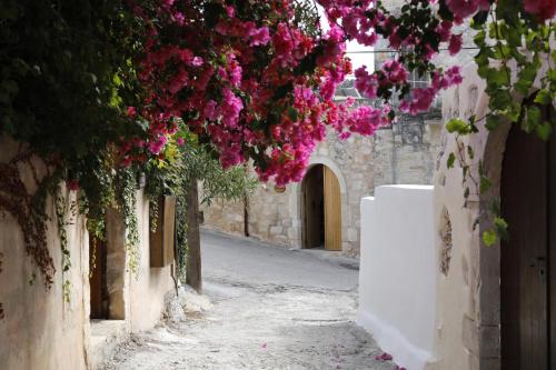 Ontas by Praxithea Traditional Home & Pool