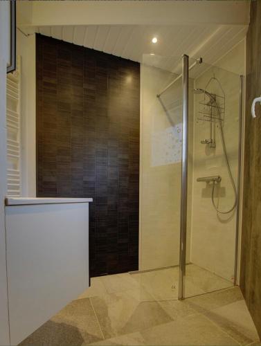 une douche avec une porte vitrée dans une salle de bain dans l'établissement Les fontaines de Panama, à Yenne