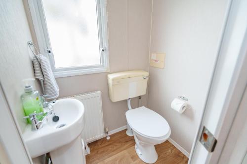a white bathroom with a toilet and a sink at Springfield B6 in Brixham