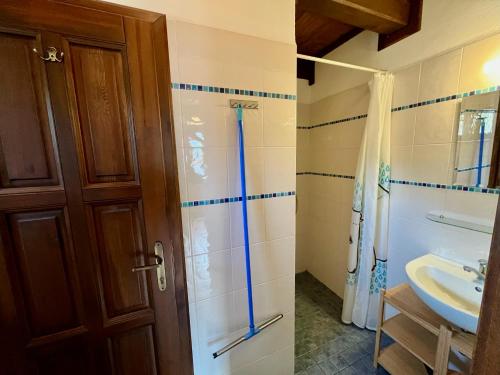 a bathroom with a shower and a sink at Kaproun - Studený pramen in Kunžak
