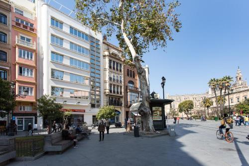 Apartamentos Edificio Constitución