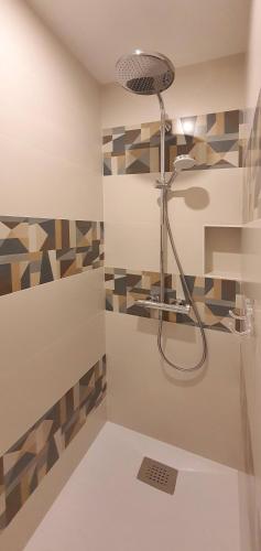 une douche avec pommeau de douche dans une salle de bain dans l'établissement Appartement Au calme Quiberon, à Quiberon