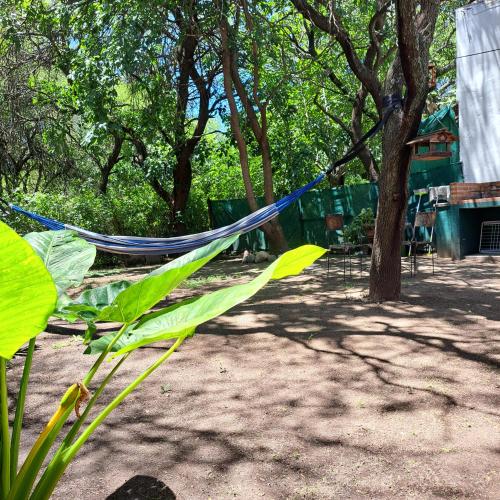 a hammock hanging from a tree in a park at Departamento Las Rosas in Villa de Las Rosas