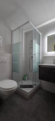 Koupelna v ubytování Marco Apartment - Aare Jungfrau AG