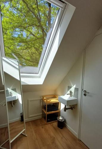 a bathroom with a sink and a skylight at De Eekhoorn in Ugchelen