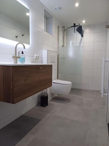 a bathroom with a sink and a toilet and a mirror at De Eekhoorn in Ugchelen