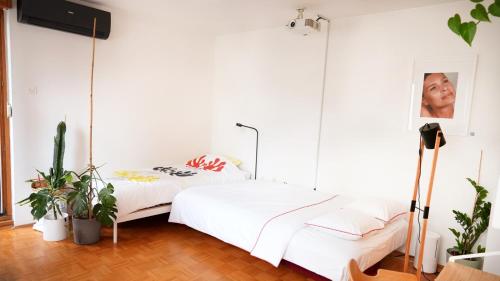 Green Hi-Tech Studio