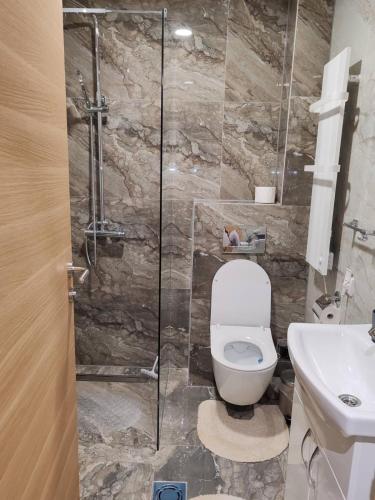 a bathroom with a toilet and a sink at Apartman Vasić in Vrnjačka Banja
