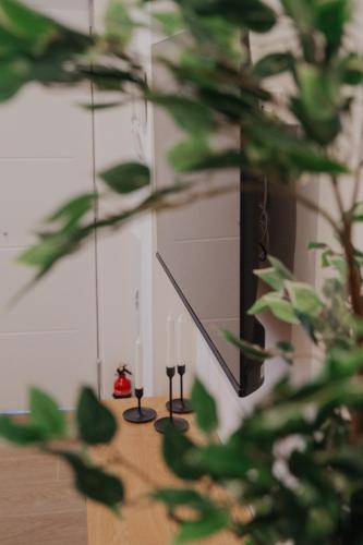 Κήπος έξω από το Loft Pamplona Rio