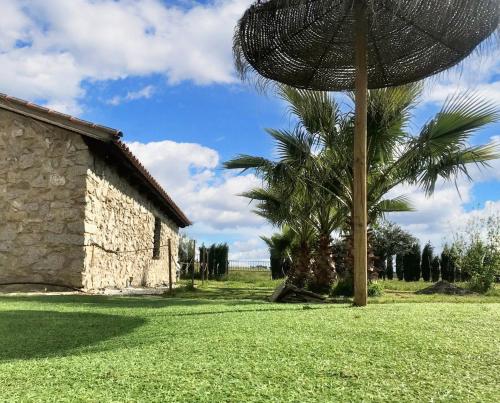 a palm tree and an umbrella next to a building at Comfortable House with Shared Pool in Alcaracejos in Alcaracejos
