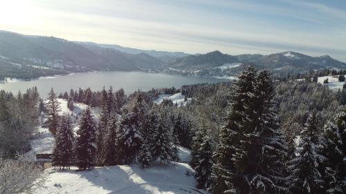 a view of a lake in the snow with trees at Lac Colibita in Colibiţa