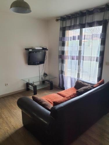 d'un salon avec un canapé et une télévision. dans l'établissement Gite le voisin Toulousain 1, à Toulouse