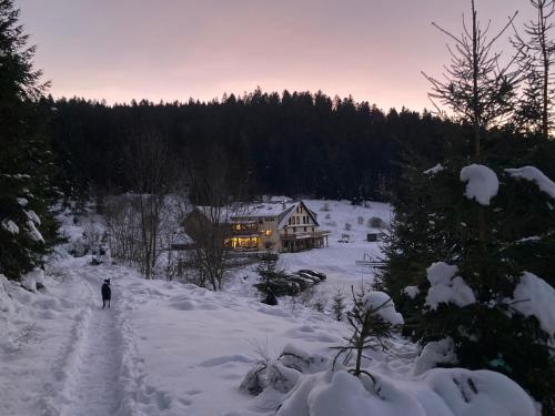 una persona caminando por un camino cubierto de nieve delante de una casa en Le Perchoir du Grand Valtin - Gîte 9 personnes - Altitude 830, en Ban-sur-Meurthe-Clefcy