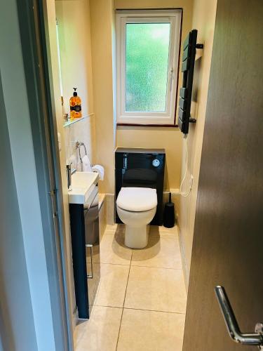 a small bathroom with a toilet and a window at Trevithick 46 in Hayle