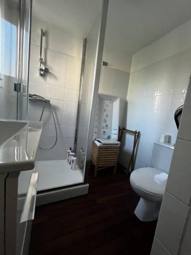 une salle de bain avec douche et toilettes dans l'établissement Villa T4 type canétoise climatisée et proche plage - 6ILEF56, à Canet