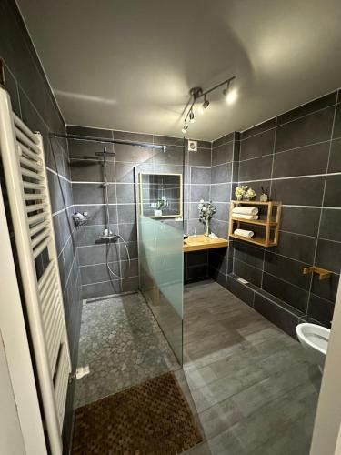 a bathroom with a shower and a sink at Air Bey Penthouse in Brussels