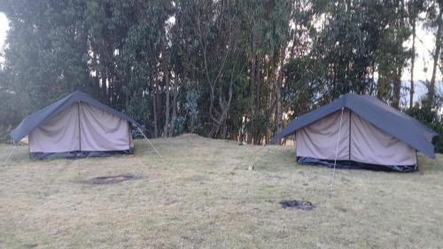 two tents in a field with trees in the background at Camping Las Acacias in Guatavita