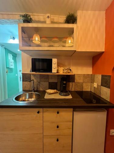 une petite cuisine avec un évier et un micro-ondes dans l'établissement Studio coup de cœur - Barjols, à Barjols