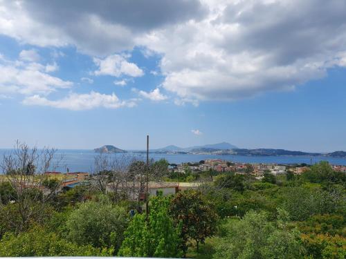 a view of a city and a body of water at Villa Giulia in Pozzuoli