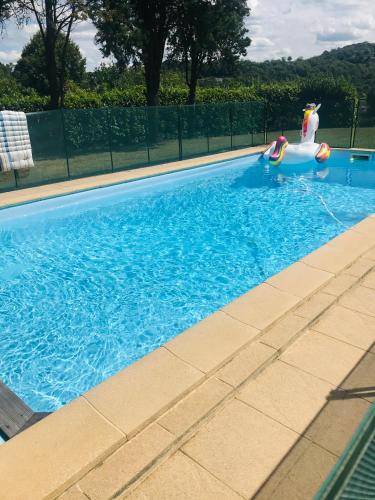 - une piscine avec un jouet dans l'eau dans l'établissement L'orée des roses, hébergement de vacances avec jardin et piscine, à Gan