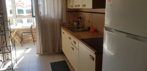 a kitchen with a white refrigerator and a sink at Disfruta el Puertito de Güímar in Puertito de Güímar