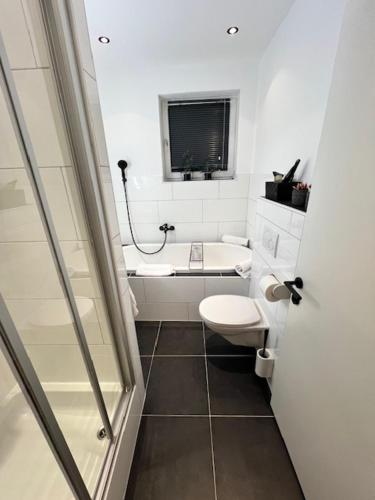 a small bathroom with a toilet and a sink at Sonnhang Apartment Unterkofler in Sankt Johann im Pongau