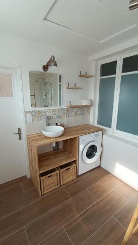 une salle de bain avec un lavabo et une machine à laver dans l'établissement Agréable maison avec jardin à 100m de la plage, à Berck-sur-Mer