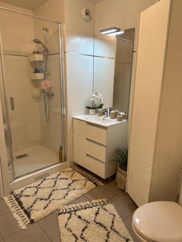 une salle de bain avec une douche, un lavabo et des toilettes dans l'établissement Cozy appartement situé à 10 min de aéroport de ROISSY CDG situé a 1 min à pied de la gare RER direction Paris centre 20min, à Louvres