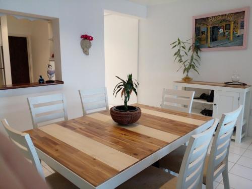 a dining room table with a potted plant on it at Oceanfront Villa in Simpson Bay