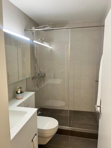 BinningenにあるGreen Basel Homeのトイレとガラスのシャワー付きのバスルーム