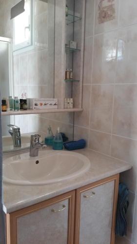 une salle de bain avec un lavabo et un miroir dans l'établissement Suite dans villa provençale avec parking et piscine, à Laneuvelotte