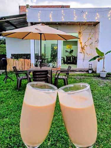 two glasses of orange juice sitting on the grass at Hostel Cielo y Tierra Vergara in Vergara