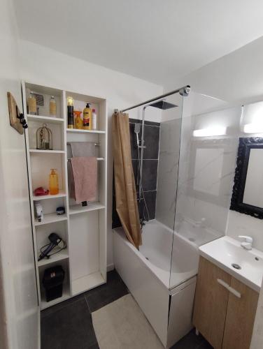 une salle de bain avec douche et lavabo dans l'établissement Dijon Nobel, à Dijon