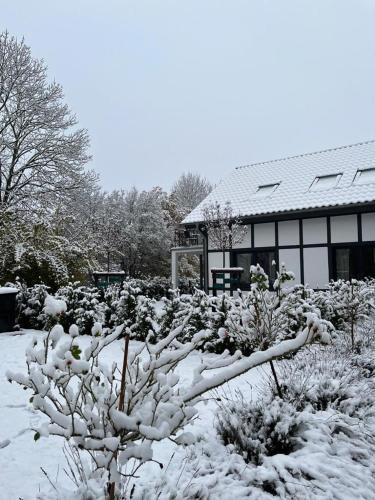 a garden covered in snow in front of a building at Landhaus Bachglück in Zülpich
