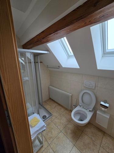 an attic bathroom with a toilet and a shower at Haus Engel Gams in Gams