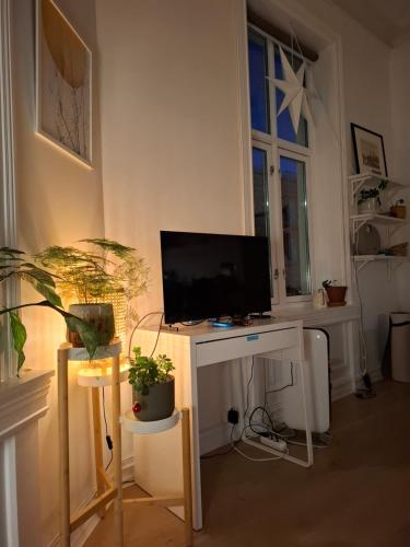 Televisyen dan/atau pusat hiburan di Bright and charming apartment from 1878 with view to the new National Museum in Oslo