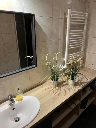 Ένα μπάνιο στο Near Station Apartment