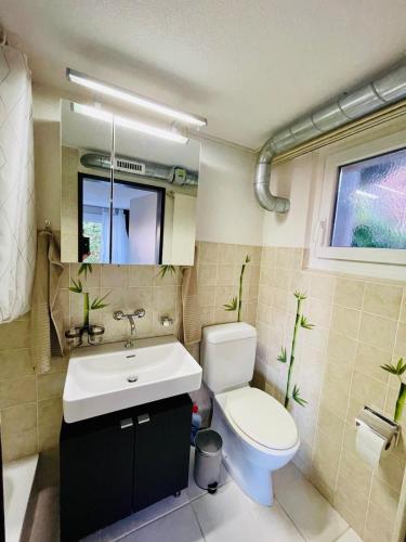 a bathroom with a toilet and a sink at Seeblick Gwatt in Thun