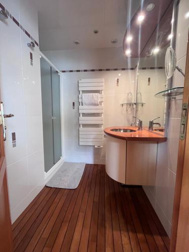 une salle de bain avec un lavabo, une douche et un miroir dans l'établissement Villa des Oiseaux Lanvéoc Presqu'île de Crozon, à Lanvéoc