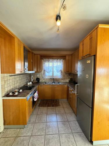 Η κουζίνα ή μικρή κουζίνα στο Thealassa Villa