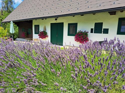 Ferienhaus KAUSCHLERHOFにある庭