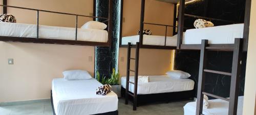 Una cama o camas en una habitación de Glamping Raíces