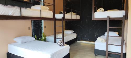 Una cama o camas en una habitación de Glamping Raíces