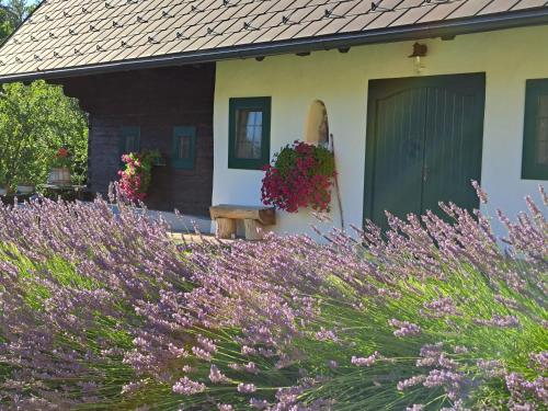 Ferienhaus KAUSCHLERHOFにある庭