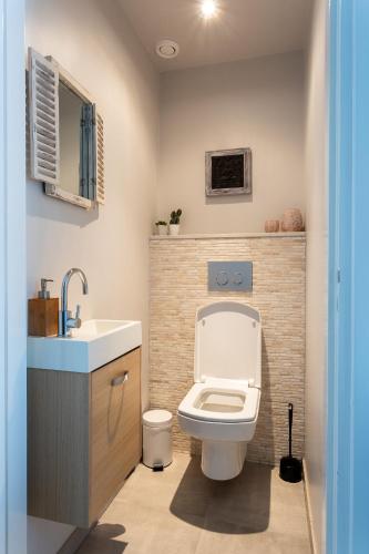 a bathroom with a white toilet and a sink at Cottage Heuvelland in Hulsberg