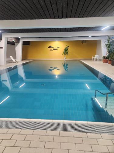 a large swimming pool with blue water in a building at Ferienwohnung Phin in Sankt Englmar, mit Pool, activCard und Smart TV in Sankt Englmar