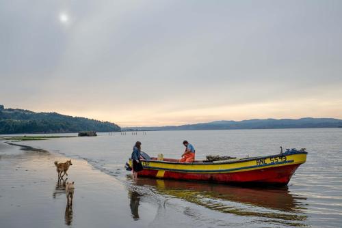 two people and a dog on a boat in the water at Beach House Hideaway in Lechagua